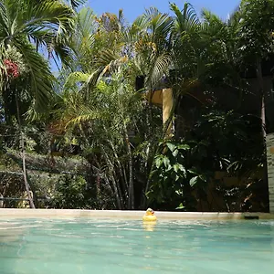 Oryx Tulum